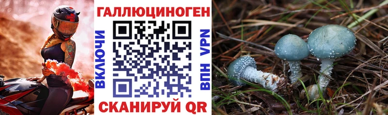 Псилоцибиновые грибы Cubensis Алупка